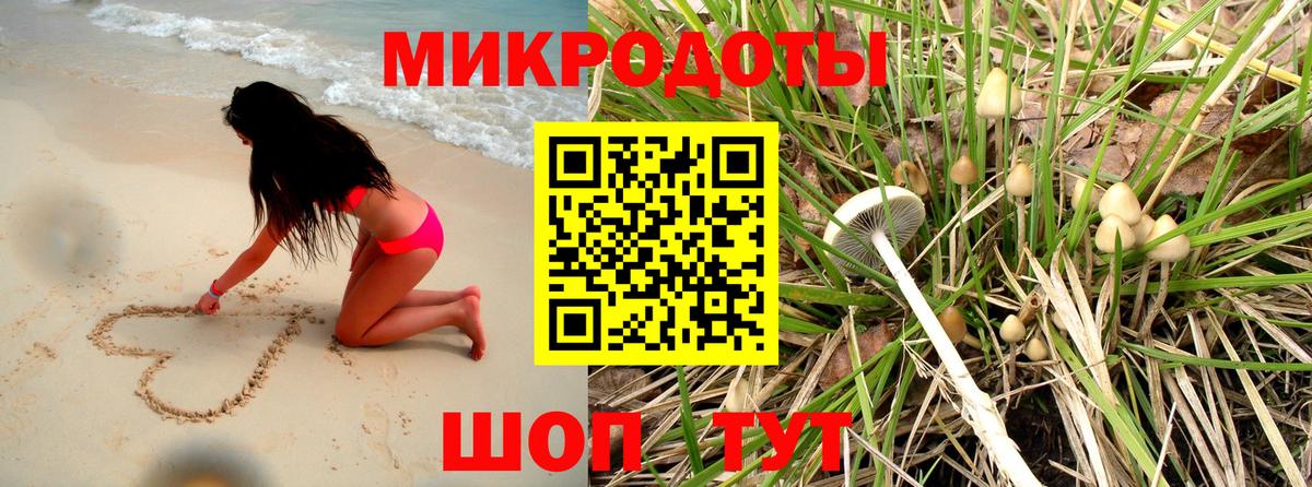 Белебей  Галлюциногенные грибы Psilocybe  что такое   Вход с VPN 