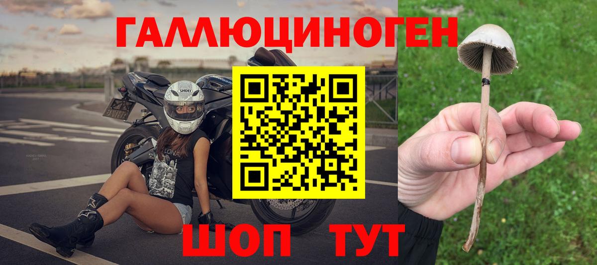 Псилоцибиновые грибы Cubensis Белебей